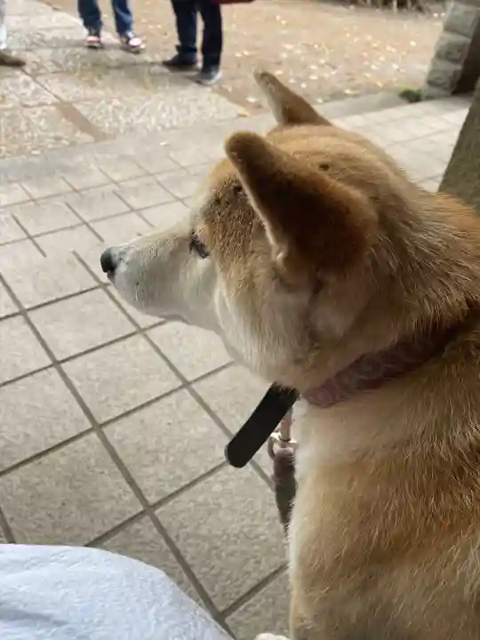 笠䅣稲荷神社(神奈川県)