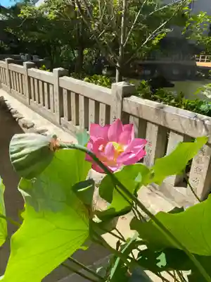 生田神社(兵庫県)