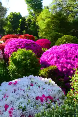 根津神社(東京都)