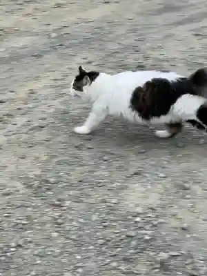妙義神社(群馬県)