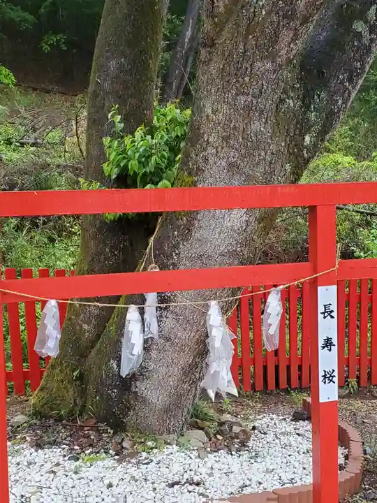出雲神社の鳥居