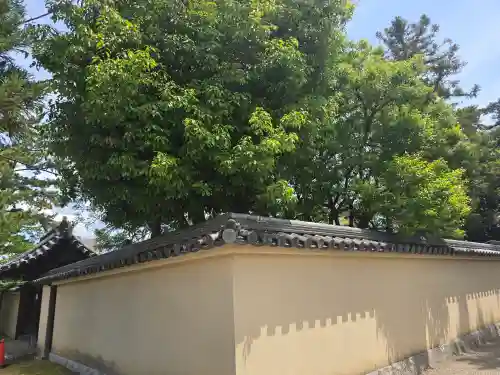 増長院(奈良県)