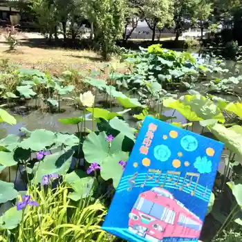 雲龍山 本證寺の御朱印帳
