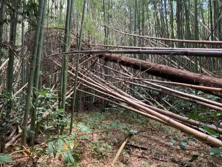 西福寺(千葉県)