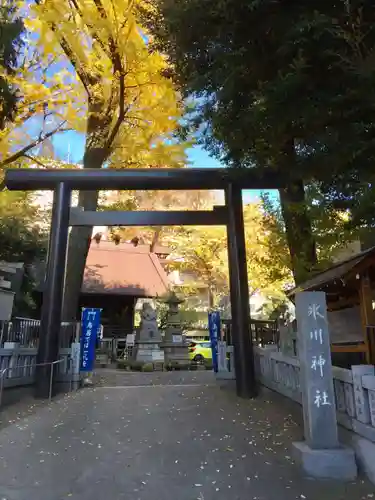 高円寺氷川神社の鳥居