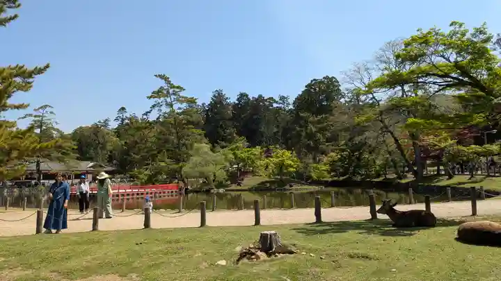 東大寺(奈良県)
