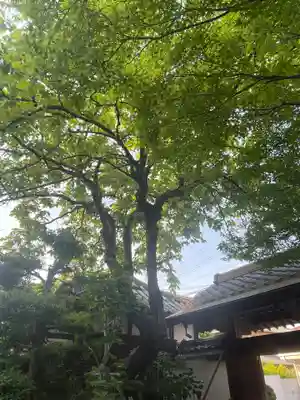 念照寺(大阪府)