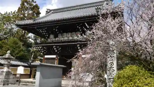 梅宮大社の山門