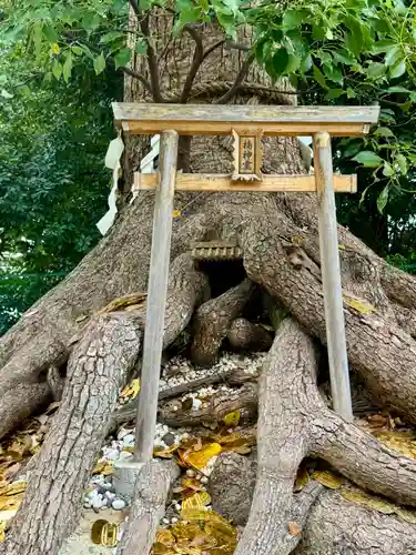 和泉國一之宮　大鳥大社(大阪府)