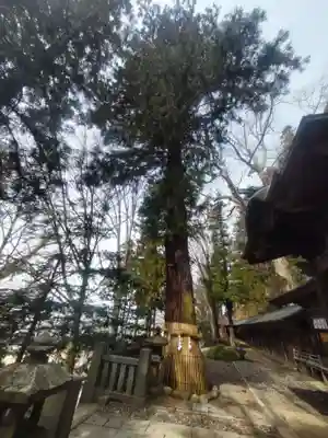 手長神社(長野県)