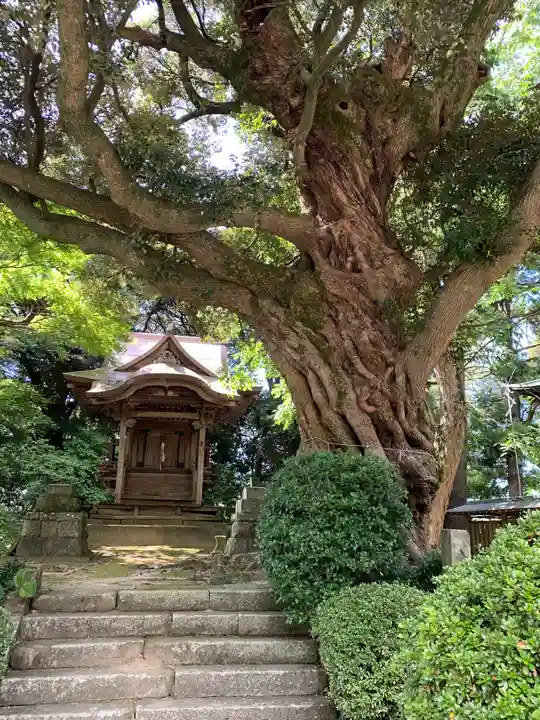 椎尾山薬王院(茨城県)