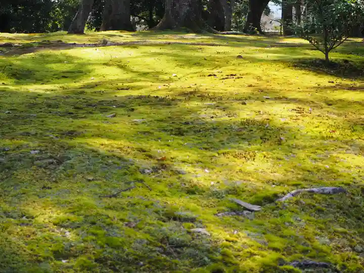 鹿苑寺(金閣寺)の自然