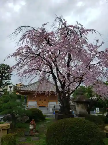 最勝寺(東京都)