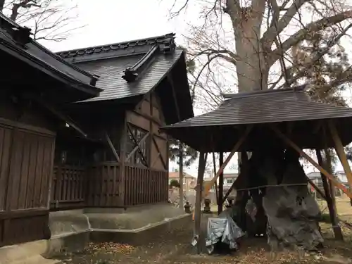越智神社の本殿・本堂