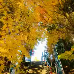 滑川神社 - 仕事と子どもの守り神の自然