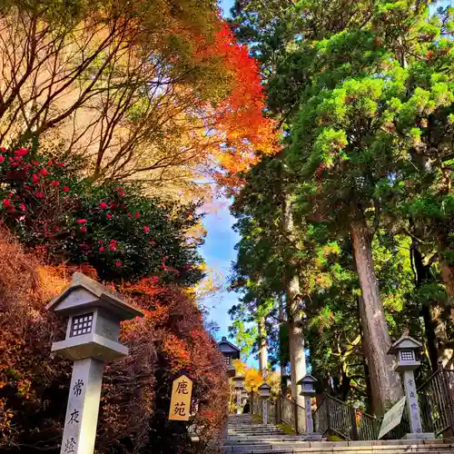 秋葉山本宮 秋葉神社 上社の建物その他