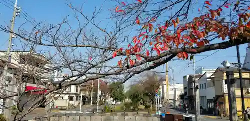 稲荷神社のその他建物