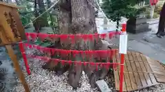 三輪神社の建物その他