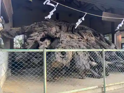 八坂神社(神奈川県)