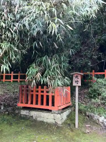 宇佐神宮の自然