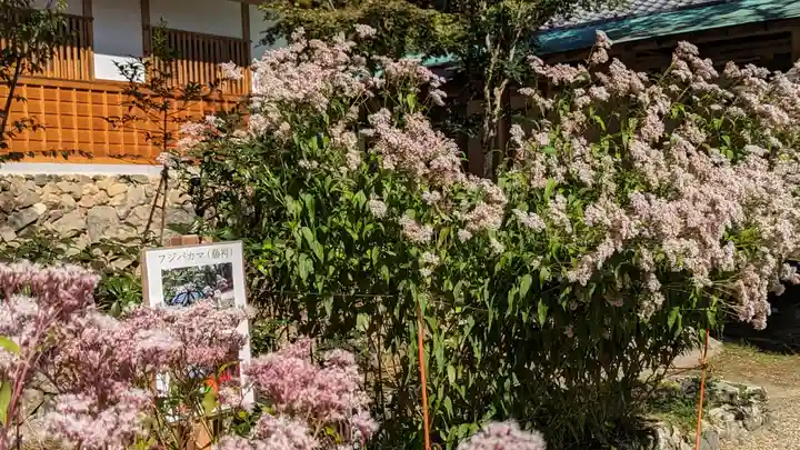 大原野神社(京都府)