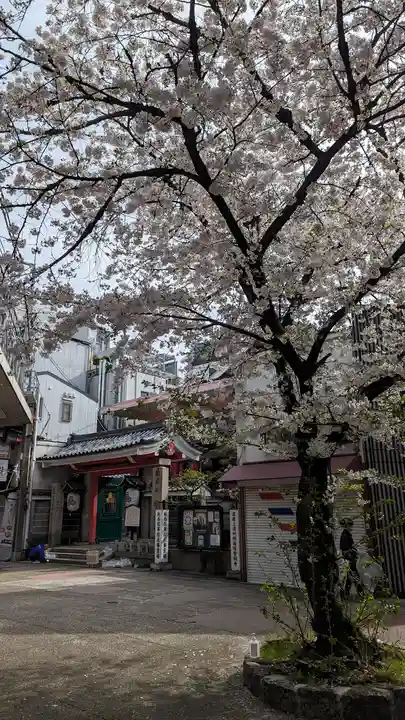 誓願寺(京都府)