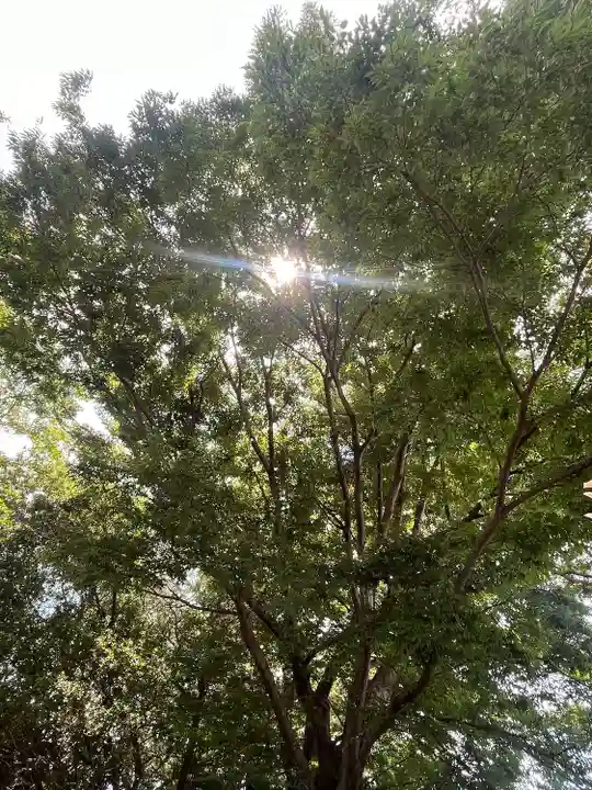 加波山神社真壁拝殿(茨城県)