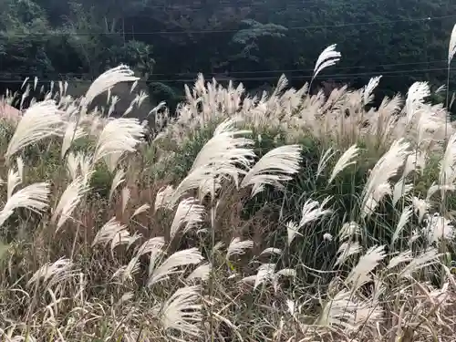 木舟山　順教寺の自然