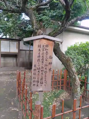 天神社(東京都)