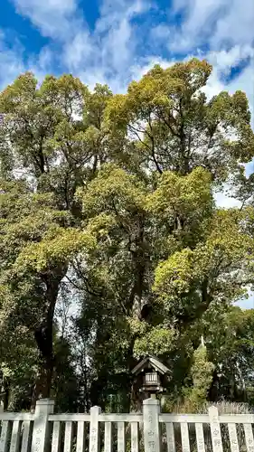 和泉國一之宮　大鳥大社(大阪府)