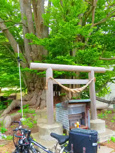 黄金龍神社（桂不動）(北海道)