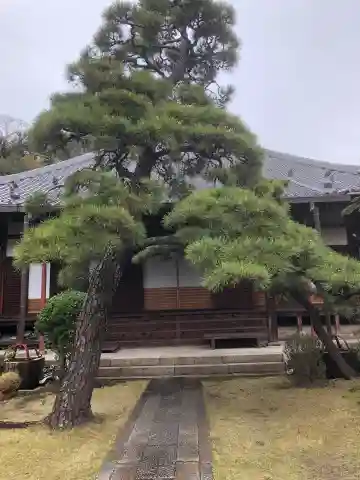 誓願寺の御朱印