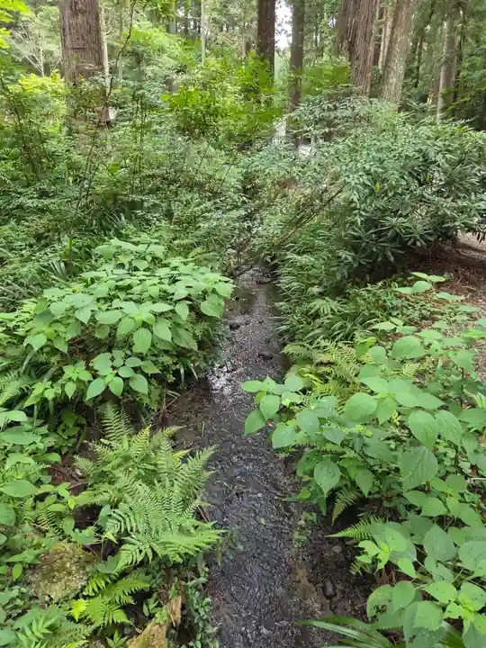 小國神社(静岡県)