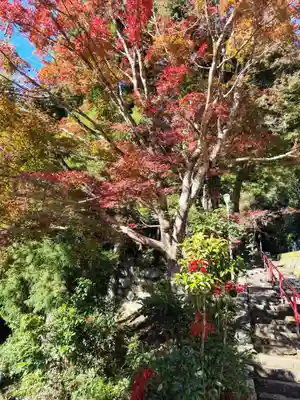 神峯寺(高知県)