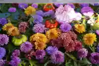 豊景神社の手水舎