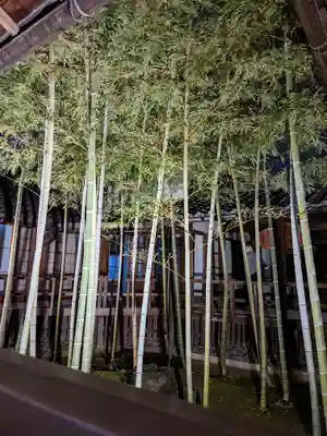 妙顯寺（妙顕寺）のその他建物