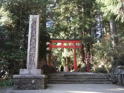 箱根神社の鳥居