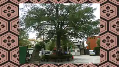 鎮守氷川神社(埼玉県)