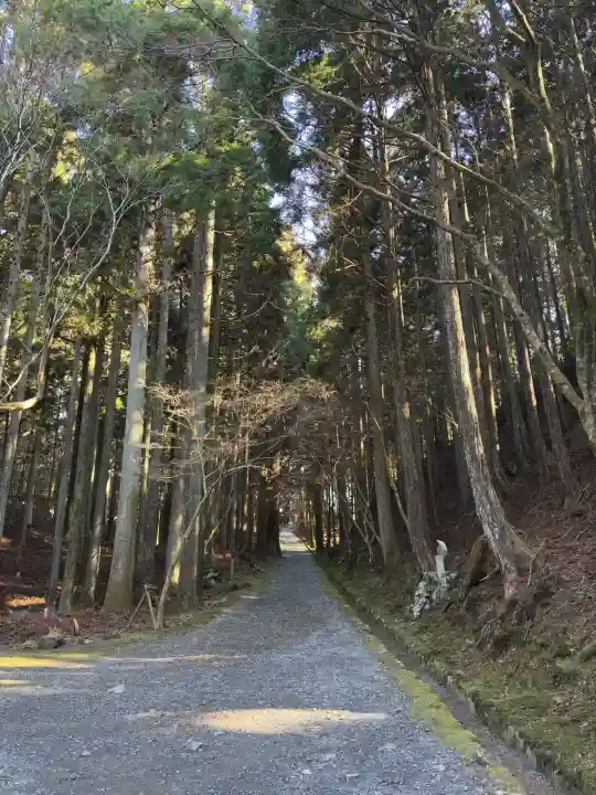 比叡山延暦寺の{uncategorized: "未分類", other: "その他", undefined: "問題あり", building: "その他建物", grave: "お墓", sacred_gate: "鳥居", guardian: "狛犬", statue: "像", buddha: "仏像", history: "歴史", nature: "自然", garden: "庭園", animal: "動物", pagoda: "塔", temizu: "手水舎", mountain_gate: "山門・神門", sanctuary: "本殿・本堂", subordinate: "末社・摂社", art: "芸術", scenery: "景色", jizo: "地蔵", ema: "絵馬", goshuin: "御朱印", omikuji: "おみくじ", items: "授与品その他", amulet: "お守り", goshuincho: "御朱印帳", eats: "食事", festival: "お祭り", votive_dance: "神楽", shichigosan: "七五三参", wedding: "結婚式", experience: "体験その他", initially: "初詣", around: "周辺", anti_infection: "感染症対策"}