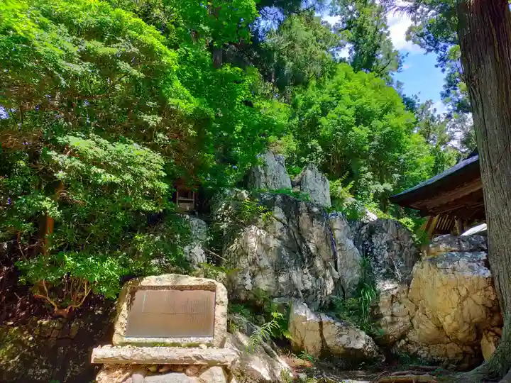 鹿島大神宮の自然