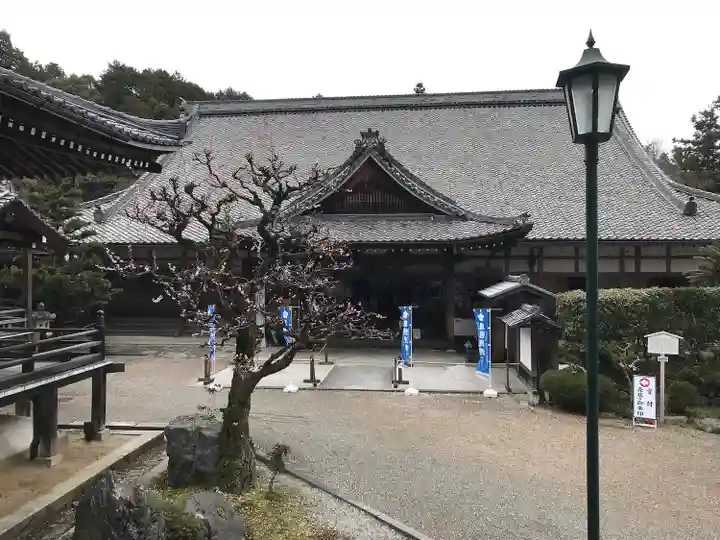 西教寺の本殿・本堂