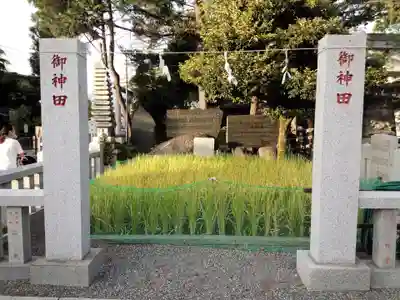 正ノ木稲荷 稲積神社のその他建物