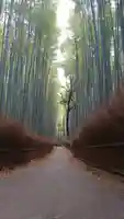 野宮神社の周辺
