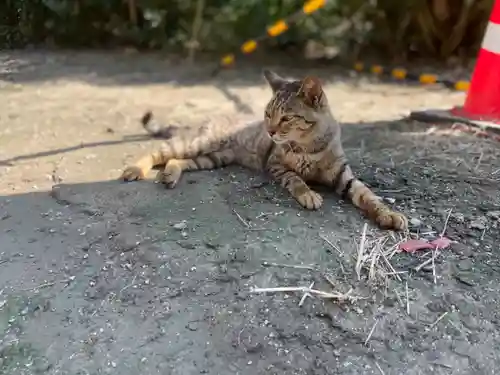 和泉國一之宮　大鳥大社の動物