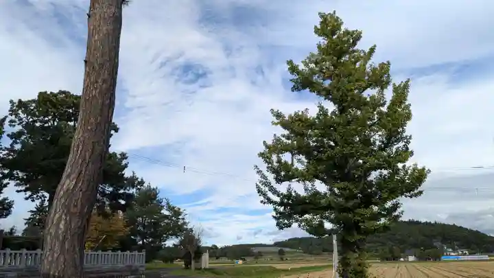 大國神社の景色