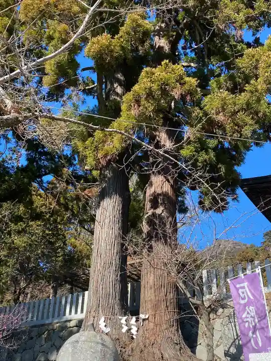 筑波山神社(茨城県)