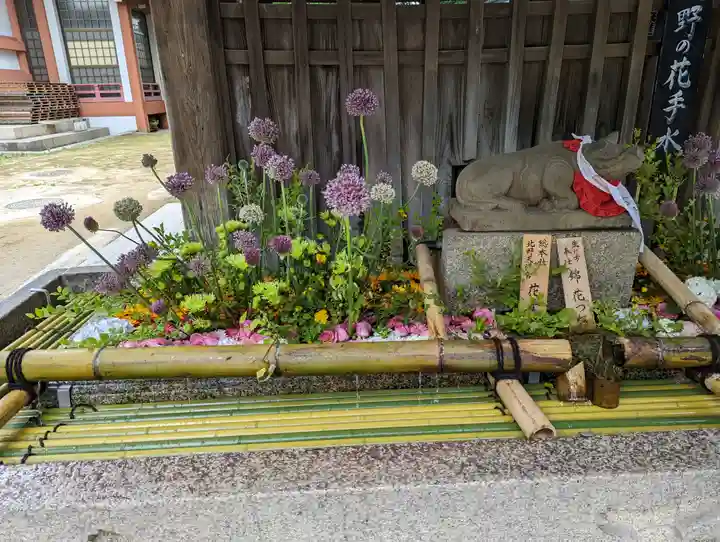 北野天満宮(京都府)