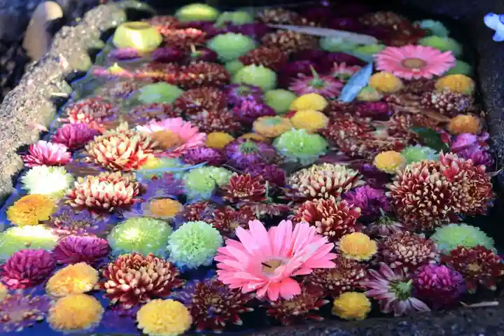 大鏑神社の手水舎