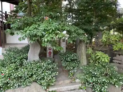 西新井大師総持寺(東京都)