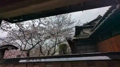 勝持寺（花の寺）(京都府)